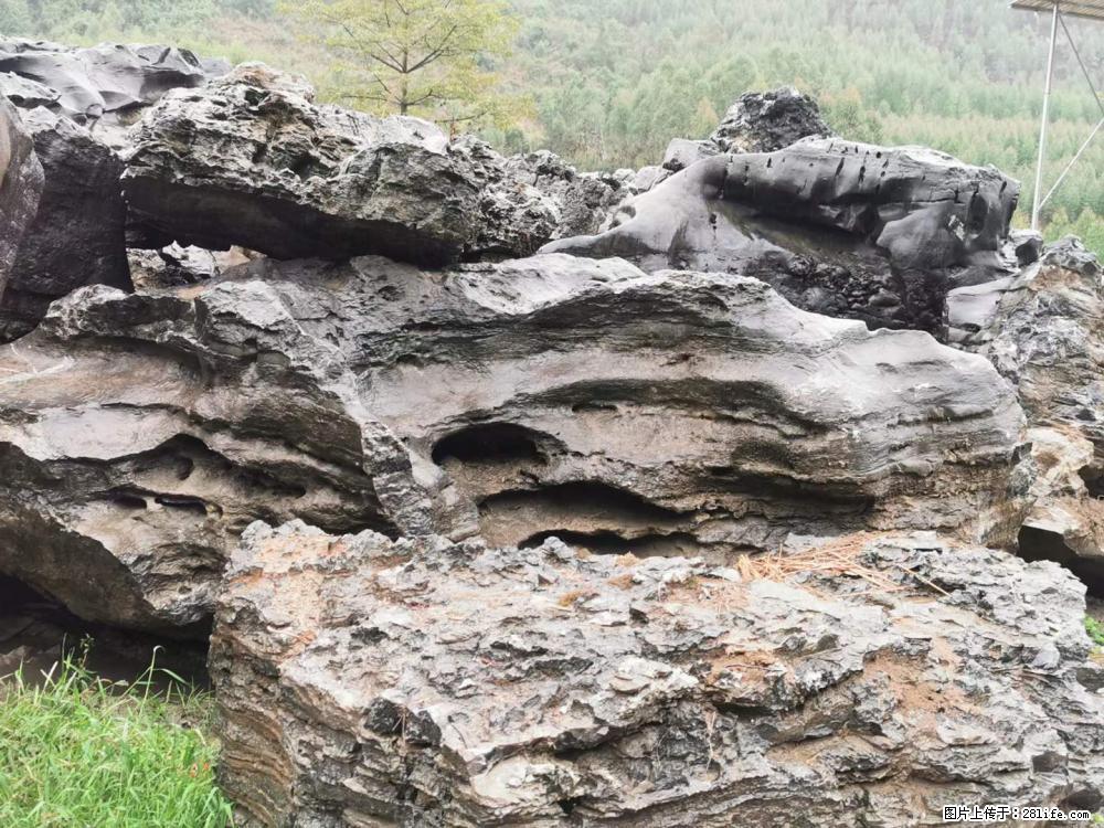 风景石、假山石大量有货，有需要的欢迎联系 - 新手上路 - 衢州生活社区 - 衢州28生活网 quzhou.28life.net