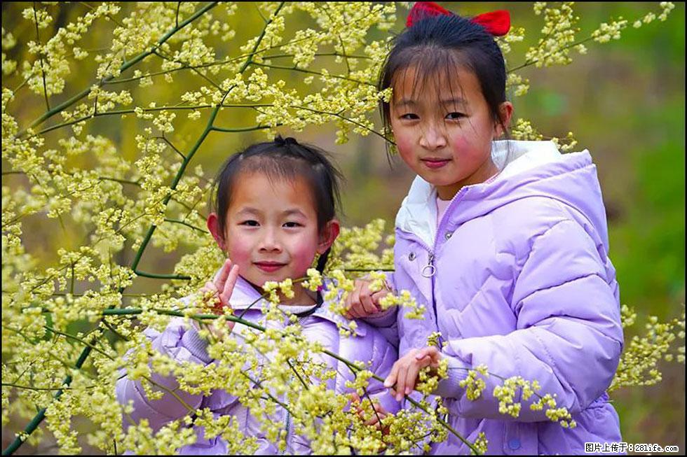 【春天，广西桂林灌阳县向您发出邀请！】米珠山前有片山苍子花在飘香 - 游山玩水 - 衢州生活社区 - 衢州28生活网 quzhou.28life.net