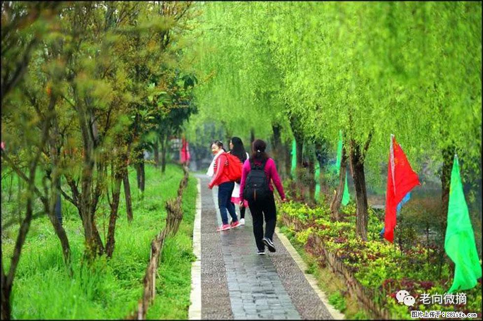 【春天，广西桂林灌阳县向您发出邀请！】江口老街又逢春 - 游山玩水 - 衢州生活社区 - 衢州28生活网 quzhou.28life.net