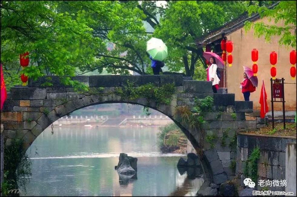 【春天，广西桂林灌阳县向您发出邀请！】江口老街又逢春 - 游山玩水 - 衢州生活社区 - 衢州28生活网 quzhou.28life.net