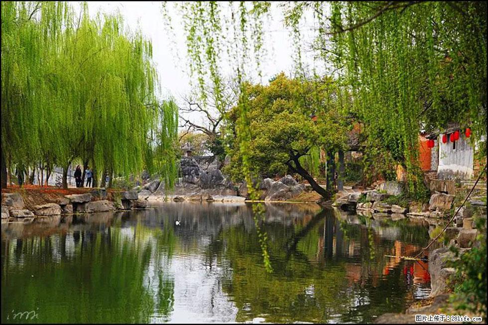 【春天，广西桂林灌阳县向您发出邀请！】江口老街又逢春 - 游山玩水 - 衢州生活社区 - 衢州28生活网 quzhou.28life.net