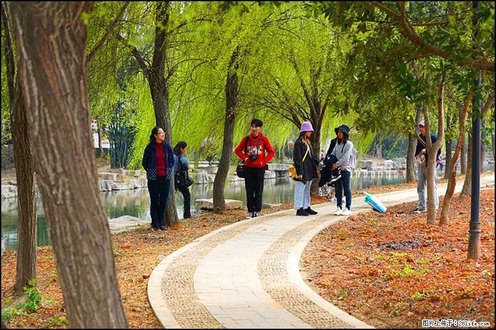 【春天，广西桂林灌阳县向您发出邀请！】江口老街又逢春 - 游山玩水 - 衢州生活社区 - 衢州28生活网 quzhou.28life.net
