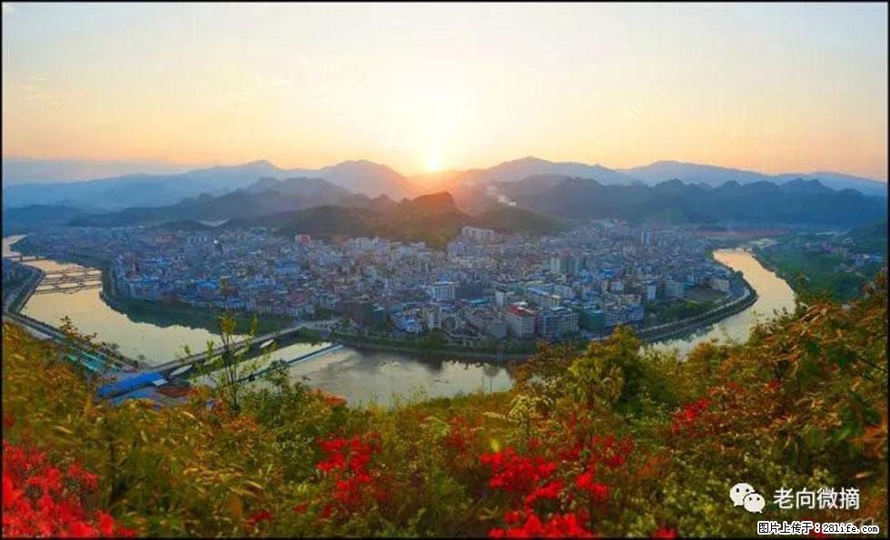 【春天，广西桂林灌阳县向您发出邀请！】登麒麟山，相约映山红 - 游山玩水 - 衢州生活社区 - 衢州28生活网 quzhou.28life.net