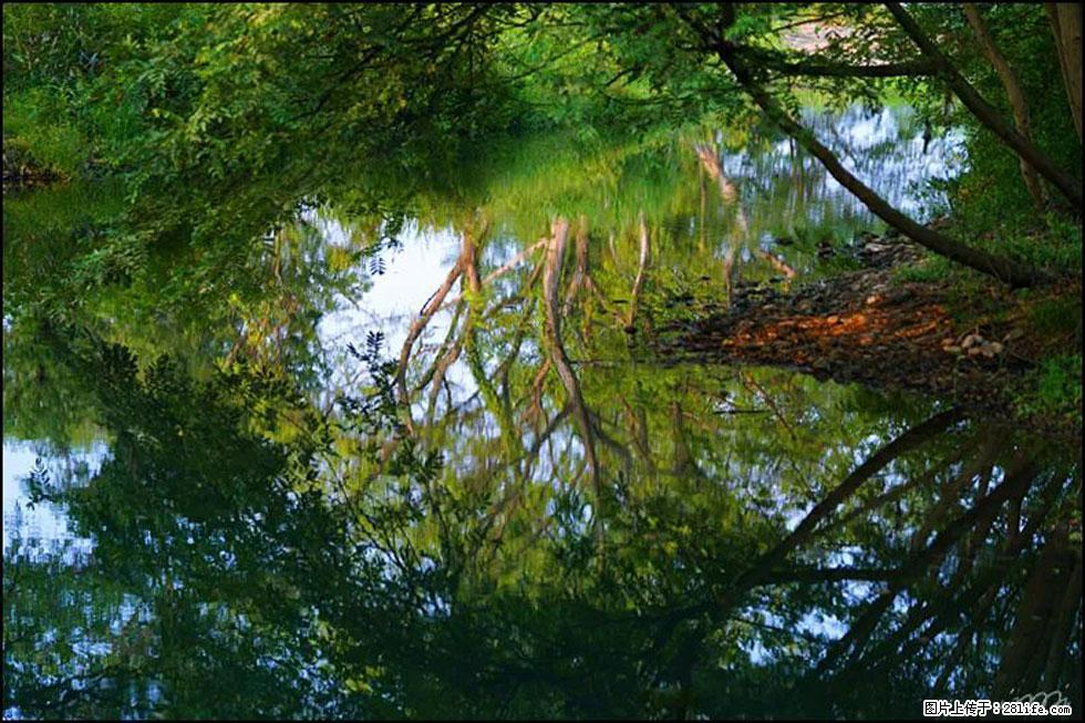 【春天，广西桂林灌阳县向您发出邀请！】熊家寨湿地公园 - 游山玩水 - 衢州生活社区 - 衢州28生活网 quzhou.28life.net