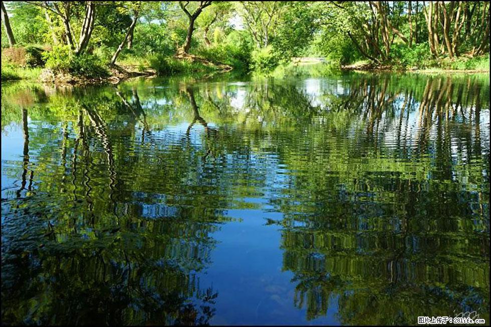 【春天，广西桂林灌阳县向您发出邀请！】熊家寨湿地公园 - 游山玩水 - 衢州生活社区 - 衢州28生活网 quzhou.28life.net