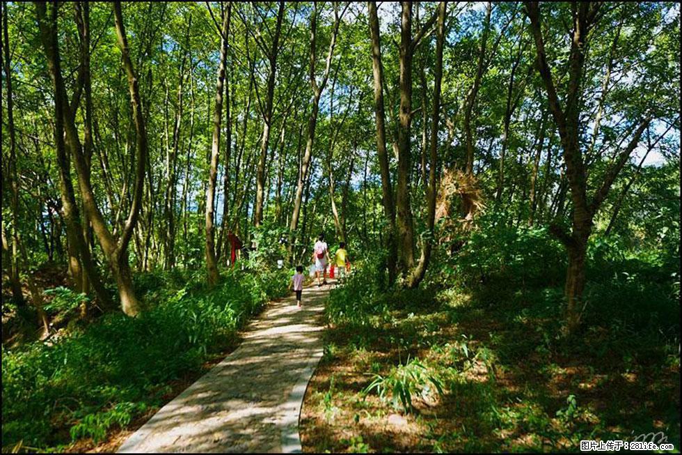 【春天，广西桂林灌阳县向您发出邀请！】熊家寨湿地公园 - 游山玩水 - 衢州生活社区 - 衢州28生活网 quzhou.28life.net