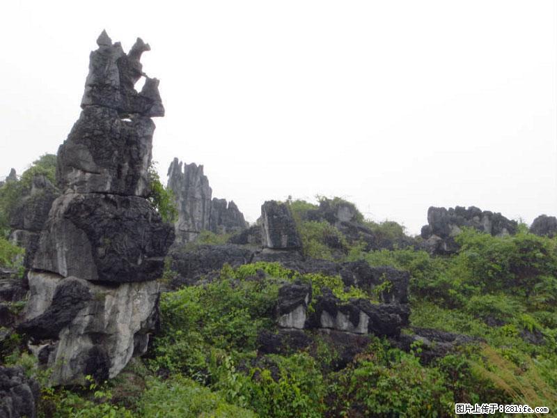 桂林旅游名城景点：灌阳文市石林 - 游山玩水 - 衢州生活社区 - 衢州28生活网 quzhou.28life.net