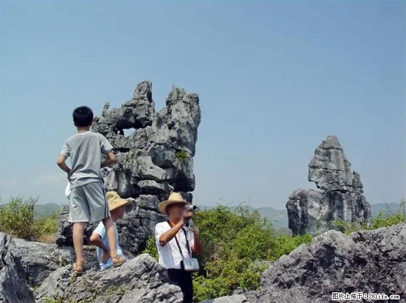 桂林旅游名城景点：灌阳文市石林 - 游山玩水 - 衢州生活社区 - 衢州28生活网 quzhou.28life.net