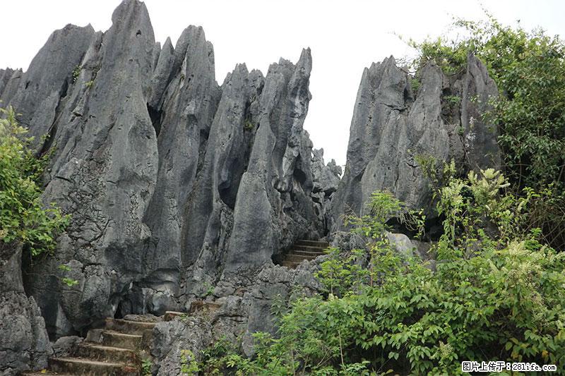 桂林旅游名城景点：灌阳文市石林 - 游山玩水 - 衢州生活社区 - 衢州28生活网 quzhou.28life.net