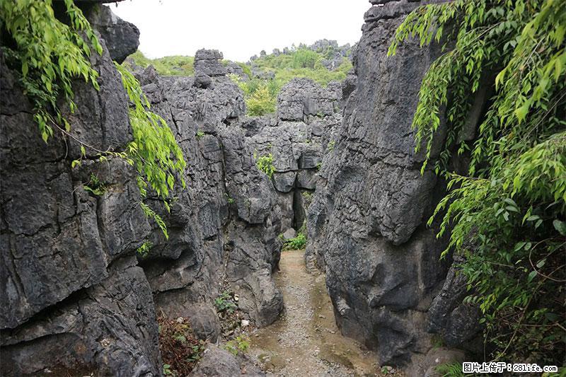 桂林旅游名城景点：灌阳文市石林 - 游山玩水 - 衢州生活社区 - 衢州28生活网 quzhou.28life.net