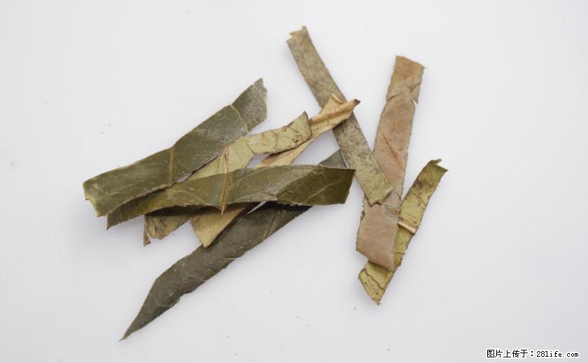 苦丁茶有哪些功效和作用 - 生活百科 - 衢州生活社区 - 衢州28生活网 quzhou.28life.net