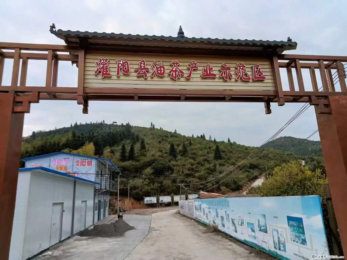 【灌阳县油茶产业示范区】一个有着充实的精神生活的人，对待身外之物自会有一种淡泊的态度 - 土特产 - 饮食特产 - 衢州分类信息 - 衢州28生活网 quzhou.28life.net