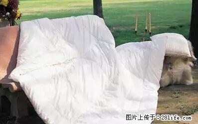 被子有异味？只要这样做，比晒太阳还强100倍！ - 家居生活 - 衢州生活社区 - 衢州28生活网 quzhou.28life.net