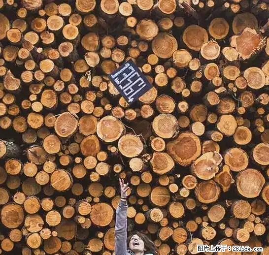 辞掉工作周游世界？现在他们在洗厕所…… - 游山玩水 - 衢州生活社区 - 衢州28生活网 quzhou.28life.net