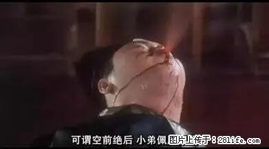 笑癫了！一女的怀孕三年未生，他终于忍不住了... - 娱乐八卦 - 衢州生活社区 - 衢州28生活网 quzhou.28life.net
