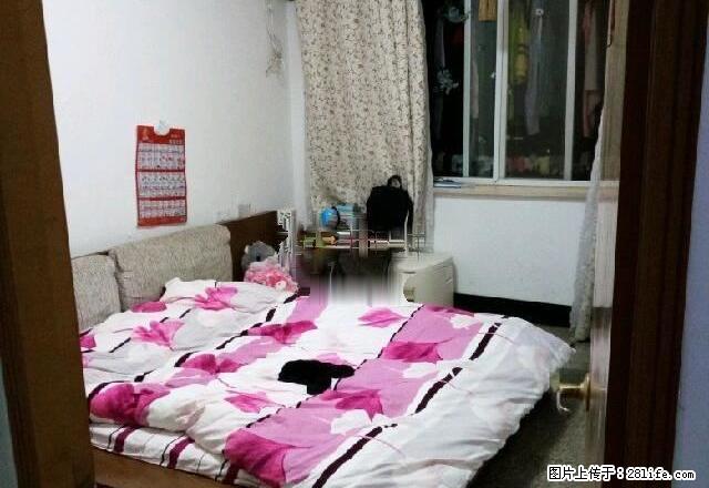 城南 荷花东区 精装2房 家电齐全 大润发 中医院 安居小区 - 房屋出租 - 房屋租售 - 衢州分类信息 - 衢州28生活网 quzhou.28life.net