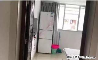 上下街附近精装单身公寓1000/月拎包入住 - 衢州28生活网 quzhou.28life.net