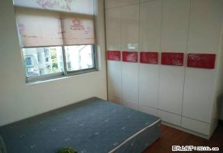 荷花东区3室1厅中装家电齐全1300元 - 衢州28生活网 quzhou.28life.net