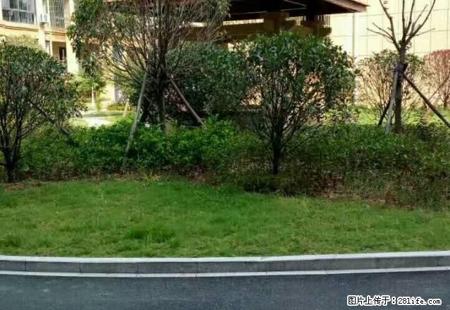 府东街消防队宿舍4楼90平方设备齐全租金1800元/月半年付 - 房屋出租 - 房屋租售 - 衢州分类信息 - 衢州28生活网 quzhou.28life.net