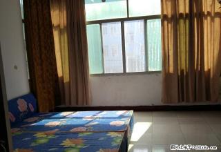万达广场附近1室1厅1厨1卫，月租：650元，2楼 - 衢州28生活网 quzhou.28life.net