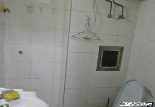 荷一路松园北区中等装修 家电齐全,随时入住！ - 衢州28生活网 quzhou.28life.net