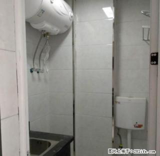 市中心可短租的单身公寓（阁楼），全新装修 - 衢州28生活网 quzhou.28life.net