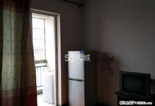 绿都城市假日小区1室1厅1卫(个人) - 衢州28生活网 quzhou.28life.net
