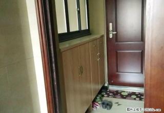 西区春江月小区，3房出租，房东全新装修，拎包入住 - 衢州28生活网 quzhou.28life.net