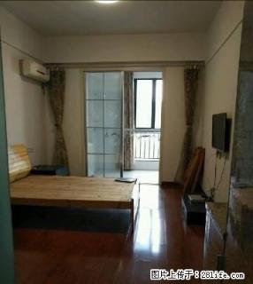 急出租中央广场公寓1200/月 - 衢州28生活网 quzhou.28life.net