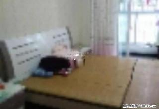 米兰春天 1室1厅1卫 单身公寓 装修清爽 拎包入住 - 衢州28生活网 quzhou.28life.net