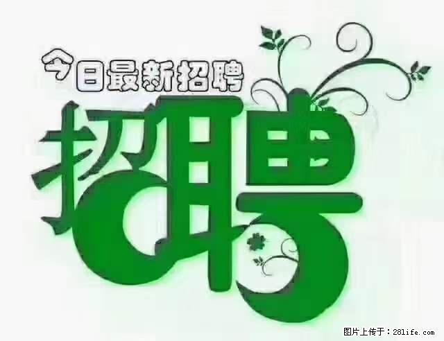 【招聘摄像师】待遇：试用期6000元/月，转正7000元/月+五险一金+餐补+节日福利+奖金 - 其他招聘信息 - 招聘求职 - 衢州分类信息 - 衢州28生活网 quzhou.28life.net