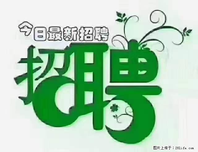 上海青浦区招仓管 - 职场交流 - 衢州生活社区 - 衢州28生活网 quzhou.28life.net