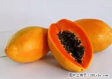 晕车、脚气、牙齿变黄、皮肤粗糙？学会这些三分钟搞定！ - 衢州生活资讯 - 衢州28生活网 quzhou.28life.net