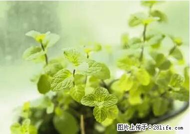 晕车、脚气、牙齿变黄、皮肤粗糙？学会这些三分钟搞定！ - 衢州生活资讯 - 衢州28生活网 quzhou.28life.net