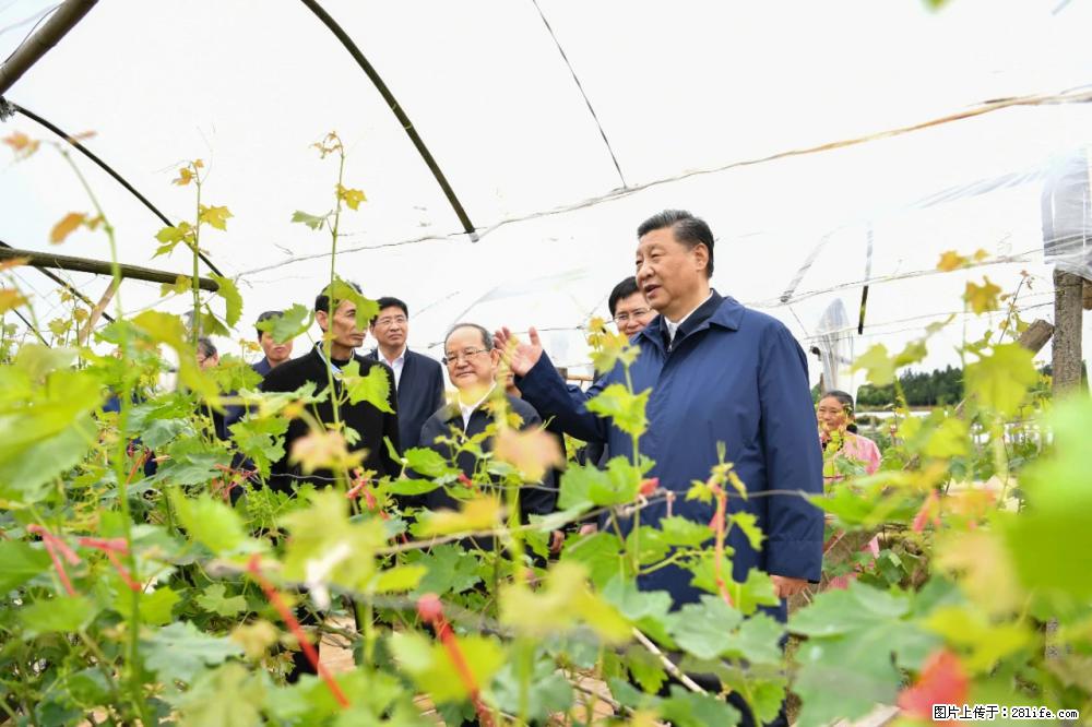 习近平赴广西考察调研 - 衢州生活资讯 - 衢州28生活网 quzhou.28life.net