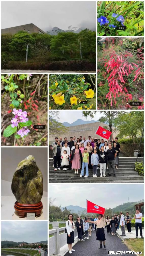 “粤灌文化 美好生活”油茶文化主题活动在广东深圳成功举办 - 衢州生活资讯 - 衢州28生活网 quzhou.28life.net