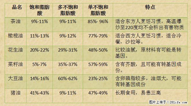 揭秘茶油的5大核心营养成分！被称为人体健康的“守护盾”！ - 衢州生活资讯 - 衢州28生活网 quzhou.28life.net