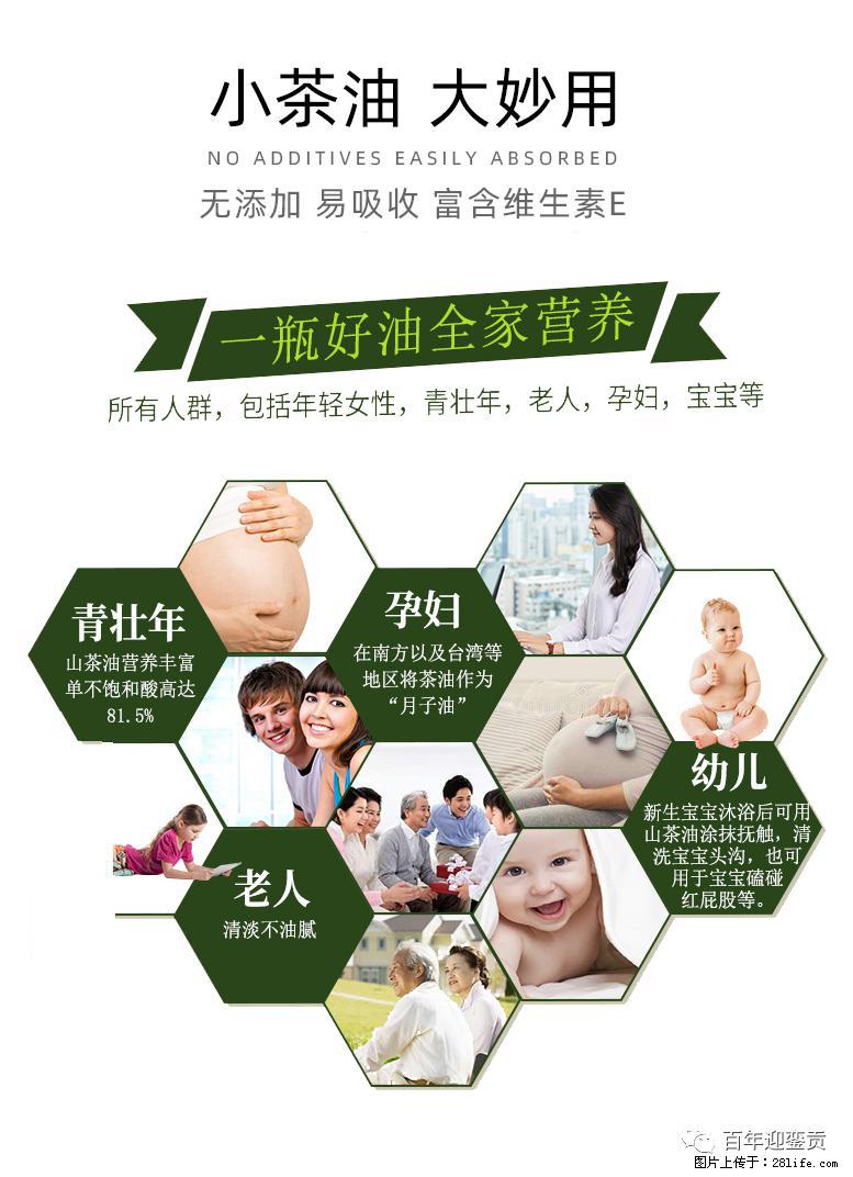 世界没有真相，只有认知，最好的食用油是中国的山茶油！ - 衢州生活资讯 - 衢州28生活网 quzhou.28life.net