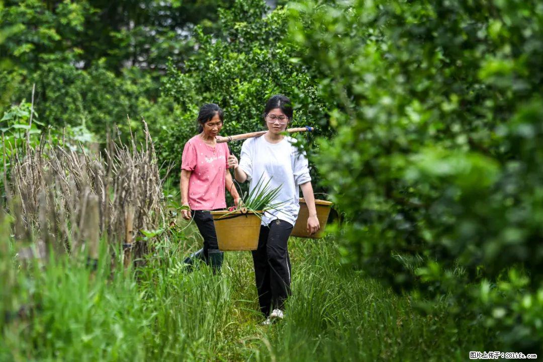 全网追的“扁担女孩”，找了一份暑假工，时薪12元 - 衢州生活资讯 - 衢州28生活网 quzhou.28life.net