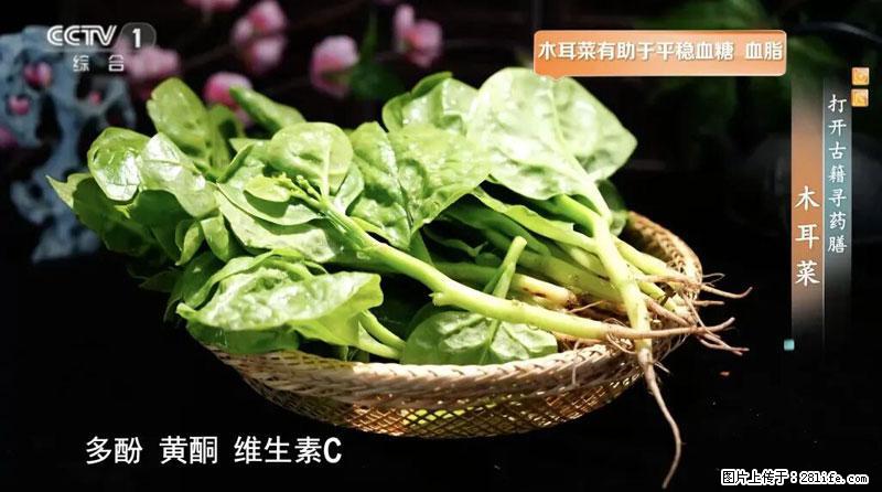 比牛奶补钙还厉害！凉血解毒、稳血糖...这菜冬天必吃，很多人却当草 - 衢州生活资讯 - 衢州28生活网 quzhou.28life.net