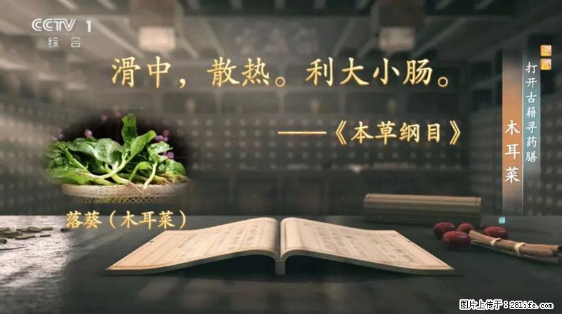 比牛奶补钙还厉害！凉血解毒、稳血糖...这菜冬天必吃，很多人却当草 - 衢州生活资讯 - 衢州28生活网 quzhou.28life.net