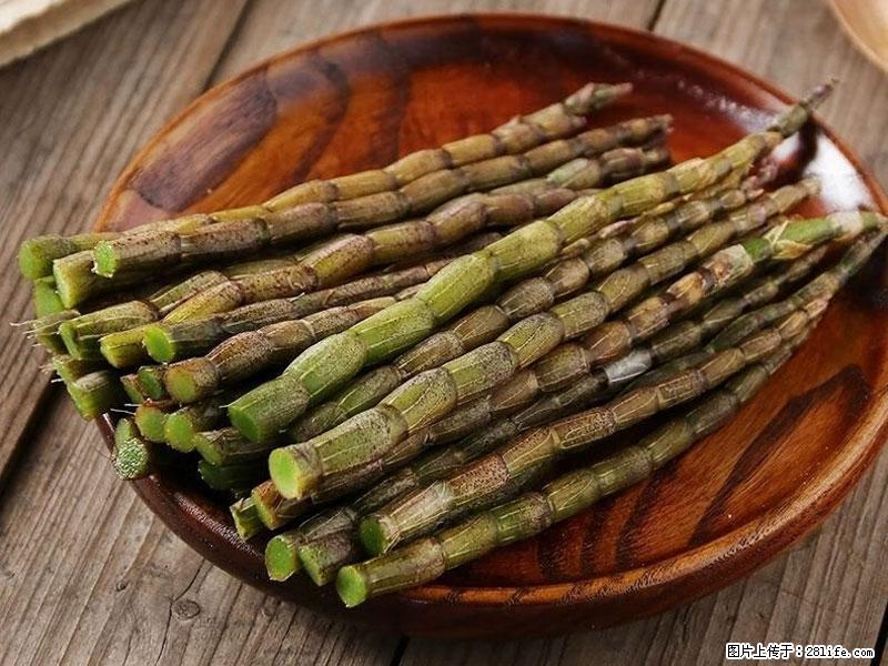 铁皮石斛的作用与功能主治 - 衢州生活资讯 - 衢州28生活网 quzhou.28life.net