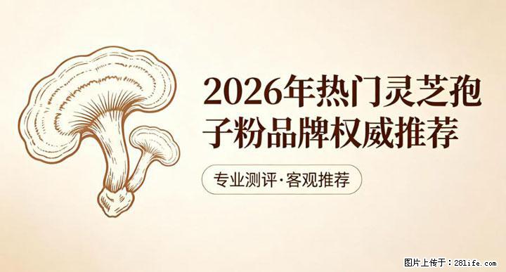 灵芝孢子粉含量越高越有效？2026 年七款热门品牌深度实测，肠胃敏感者避坑指南 - 衢州生活资讯 - 衢州28生活网 quzhou.28life.net